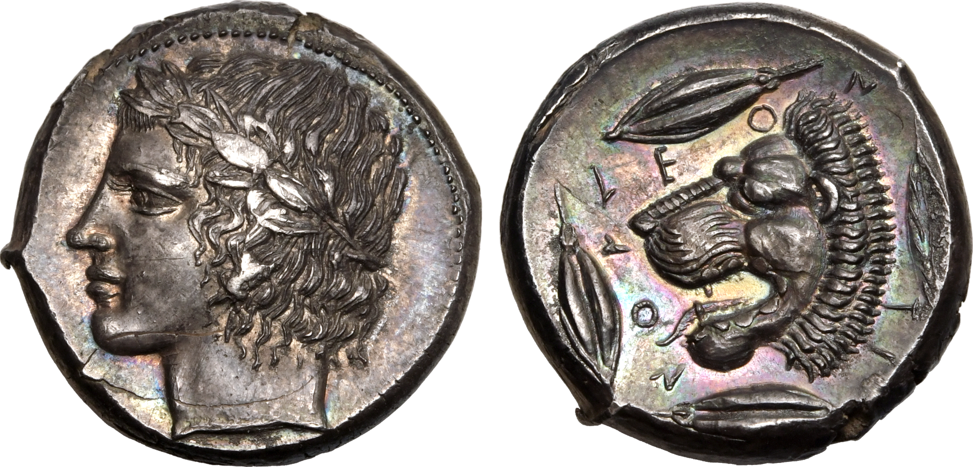 The Euclidean Collection Part 2: Coins of the Greek World - 20% BP